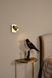 Бра Lucide NIGEL LED Dim to warm GU10 1x5W 2200K/3000K With USB charging point Matt Gold / Brass, Matt Gold / Brass
