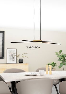 Подвесной светильник Eglo PANAGRIA Black