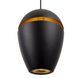 Підвісний світильник Maxlight COMETSHINE 1, Black