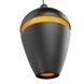 Підвісний світильник Maxlight COMETSHINE 1, Black