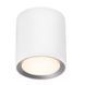 Накладний точковий світильник Nordlux Landon Smart White