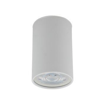 Накладний точковий світильник TK-Lighting TOP 1, White
