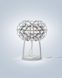 Настільна лампа Foscarini Caboche Plus, Transparent