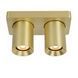 Стельовий точковий світильник Lucide NIGEL LED Dim to warm GU10 2x5W 2200K/3000K Matt Gold / Brass, Matt Gold / Brass