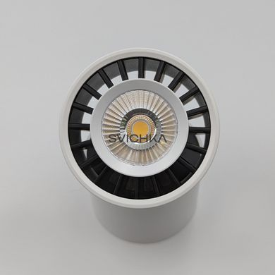 Точковий світильник Skarlat RSLC7529 12W WH+BK 4000K, Білий/чорний, 79
