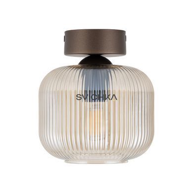 Потолочный светильник TK Lighting SALVIA 1