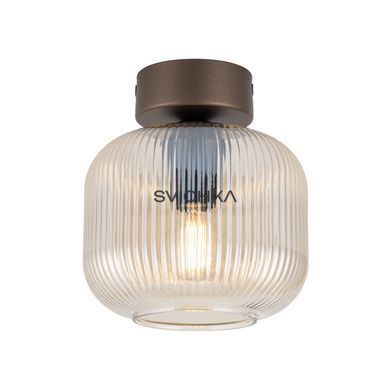 Потолочный светильник TK Lighting SALVIA 1