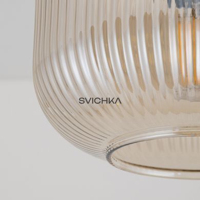 Потолочный светильник TK Lighting SALVIA 1