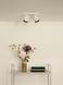 Стельовий точковий світильник Lucide NIGEL LED Dim to warm GU10 2x5W 2200K/3000K White, WHITE