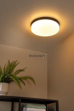 Стельовий світильник для ванної Lucide BISKIT &Oslash; 34,5 cm LED 1x24W 2700K IP44 Motion & Day/Night Sensor Black, BLACK