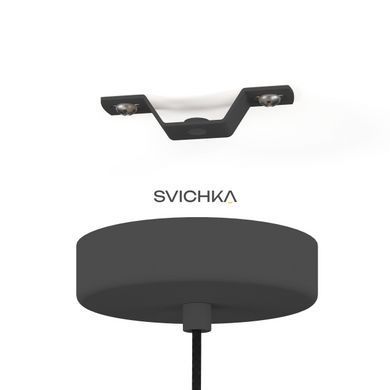 Підвісний світильник Eglo 390141 MILLENA 1, Black