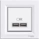 USB розетка Schneider Electric Asfora 2,1A, Білий, Білий