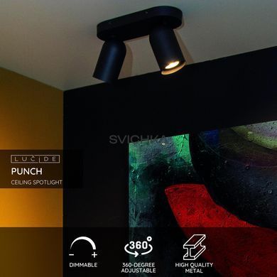 Потолочный точечный светильник Lucide PUNCH 2xGU10 Black