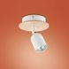 Спот TOP WOOD TK-Lighting 3294 - 3294, Белый, Деревянный, Коричневый, Белый