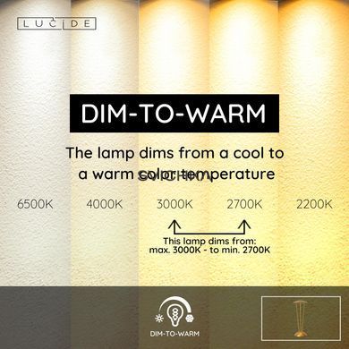 Акумуляторна настільна лампа для дому та вулиці Lucide RENEE Battery pack/batteries &Oslash; 12,3 cm LED Dim to warm 1x2,2W 2700K/3000K IP54 With wireless charging pad Matt Gold / Brass, Matt Gold / Brass