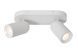 Потолочный точечный светильник Lucide PUNCH 2xGU10 White, WHITE