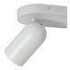 Потолочный точечный светильник Lucide PUNCH 2xGU10 White, WHITE
