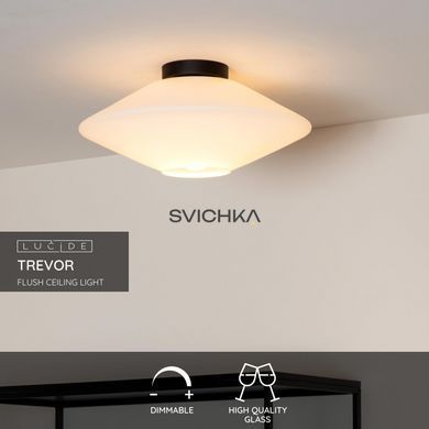 Потолочный светильник Lucide TREVOR &Oslash; 42 cm 1xE27 Opal