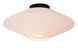 Потолочный светильник Lucide TREVOR &Oslash; 42 cm 1xE27 Opal, Opal