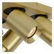 Потолочный точечный светильник Lucide NIGEL LED Dim to warm GU10 4x5W 2200K/3000K Matt Gold / Brass, Matt Gold / Brass