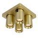 Потолочный точечный светильник Lucide NIGEL LED Dim to warm GU10 4x5W 2200K/3000K Matt Gold / Brass, Matt Gold / Brass