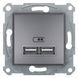 USB розетка Schneider Electric Asfora 2,1A, Сталь, Сталь
