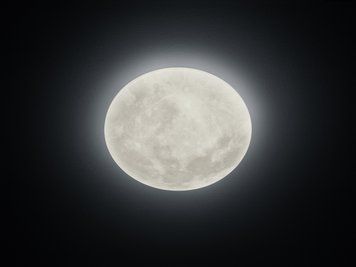 Стельовий світильник Trio 627514000 Lunar, Білий, Білий