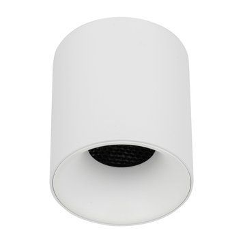 Накладной точечный светильник TK-Lighting BLAZE CCT 12W