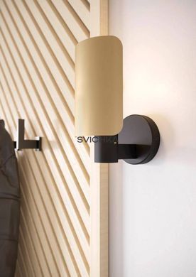Настенный светильник Eglo HAYES Black/Gold