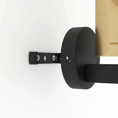 Настенный светильник Eglo HAYES Black/Gold