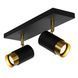 Стельовий точковий світильник Lucide FLORIS 2xGU10 Black, BLACK