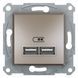 USB розетка Schneider Electric Asfora 2,1A, Бронза, Бронза