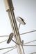 Стельовий світильник Icone Luce Arbor 12BI