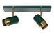 Стельовий точковий світильник Lucide FLORIS 2xGU10 Green, Green