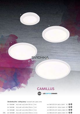 Точковий світильник Reality R62921501 Camillus, Білий