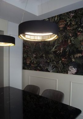Підвісний світильник Egoluce RADAR, Black/Gold, Чорний, Чорний, Золотий, Чорний