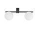 Потолочный светильник Nowodvorski Pik 2 Black/White