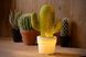 Настільна лампа Lucide CACTUS 1xE14 Green, Green