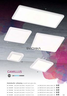 Точечный светильник Reality R62931801 Camillus