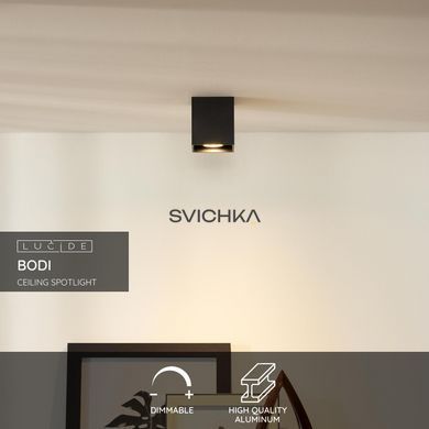Потолочный точечный светильник Lucide BODI 1xGU10 Black