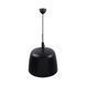 Підвісний світильник Nordlux Norbi 30 Black