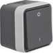 Выключатель 2-полюсный 0-І, IP55, серый, 10АX/250В W.1 Berker