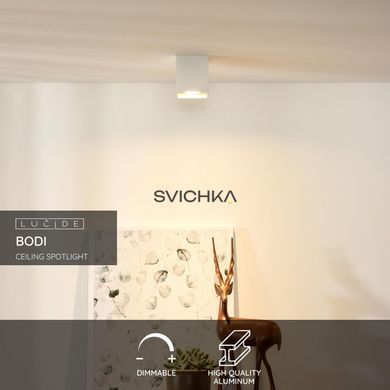 Потолочный точечный светильник Lucide BODI 1xGU10 White
