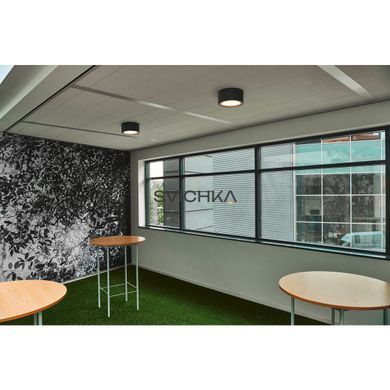 Накладной потолочный светильник FERA 25 CL, 3000K, Black
