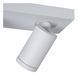 Потолочный точечный светильник для ванной Lucide TAYLOR LED Dim to warm GU10 2x5W 2200K/3000K IP44 White, WHITE