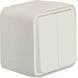 Выключатель 2-клавишный IP55, белый, 10АX/250В W.1 Berker
