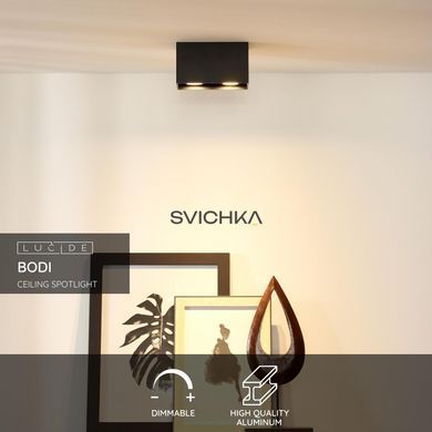 Потолочный точечный светильник Lucide BODI 2xGU10 Black