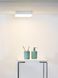 Стельовий світильник для ванної Lucide CERES LED LED Dim. 1x30W 3000K IP44 White, WHITE