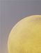 Декоративный светильник Nova Luce 9186716 MOON 40, White