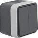 Выключатель 2-клавишный IP55, 10АX/250В W.1 Berker